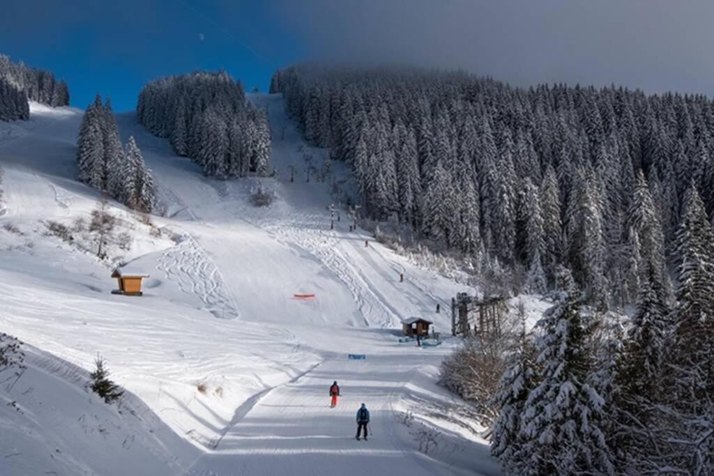 Le Relai S34 - Grand Et Lumineux Studio Avec Coin Montagne 4-6 Pers Avec Wifi, 50M Des Pistes, Grand Balcon Expose Sud, Draps Non Compris Saint-Jean-dʼAulps 외부 사진